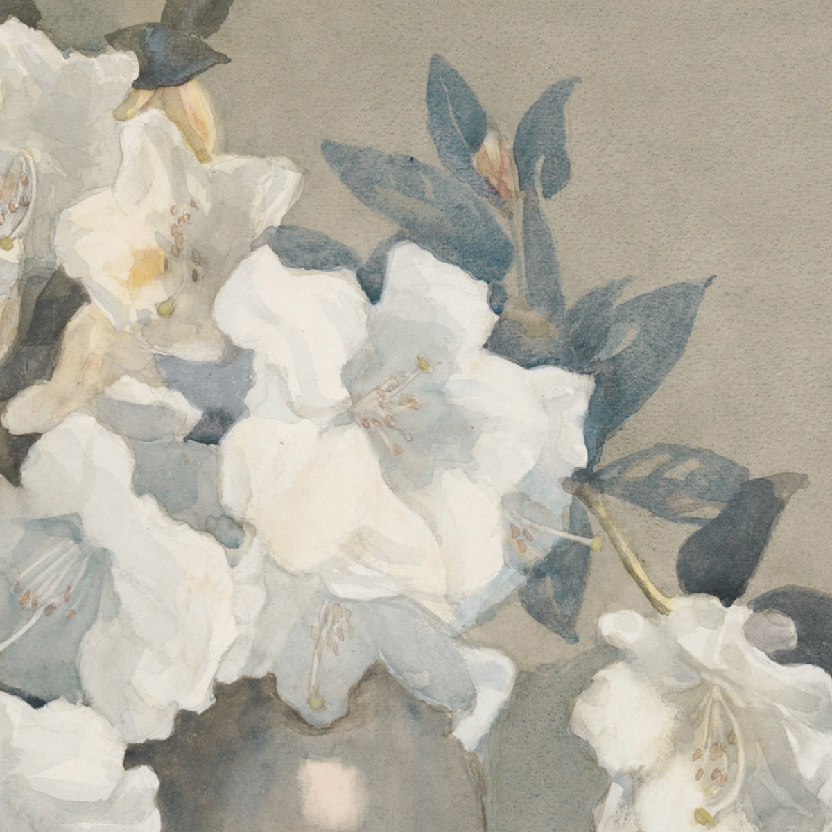 Vintage Floral Wall Art | Framed White Flower Still Life Print | N245