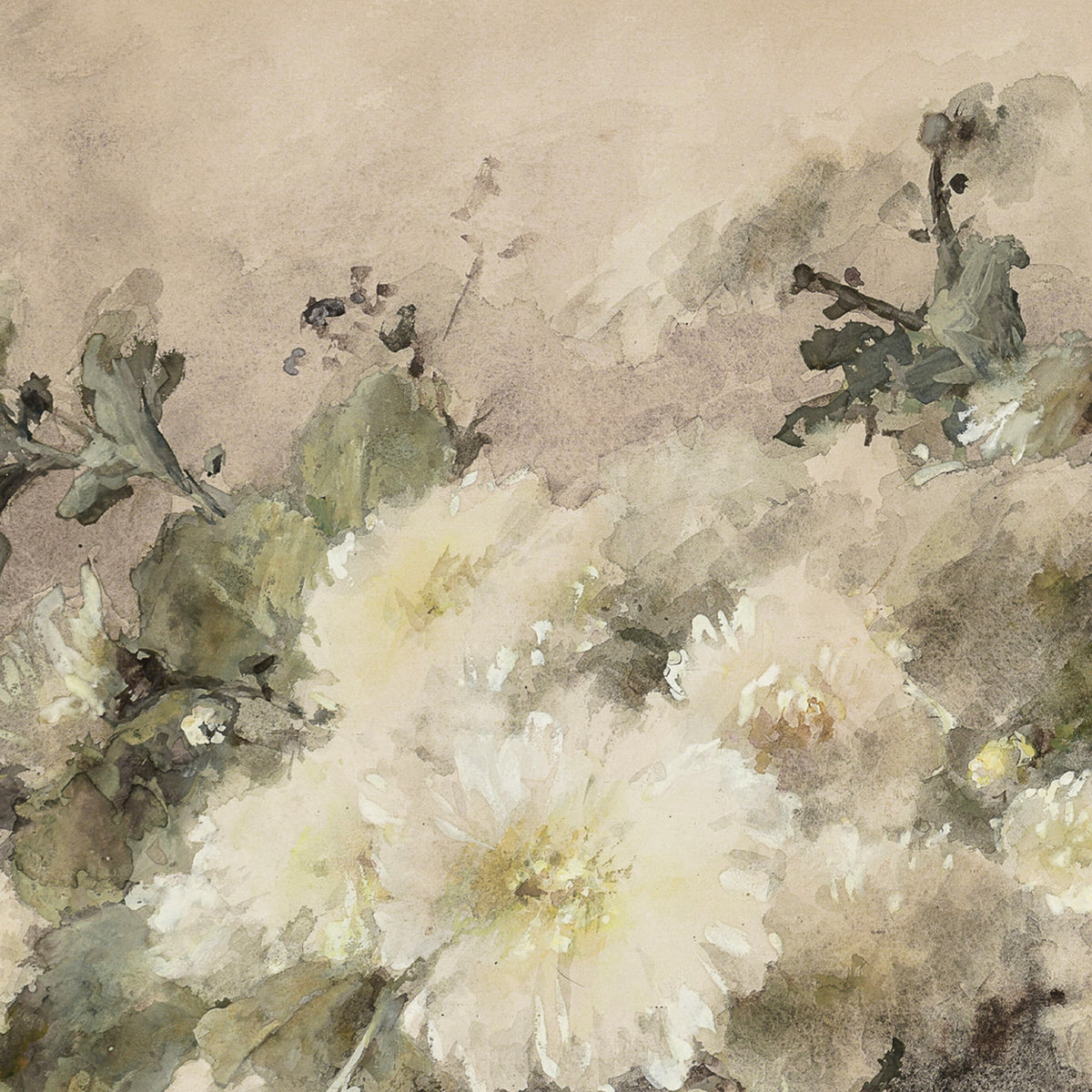 Vintage Botanical Wall Art | White Flower Wall Decor |  N34