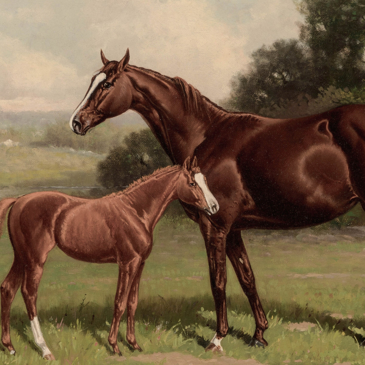 Framed Horse Wall Art | Large Nursery Animal Prints | Vintage Horse Art | N82
