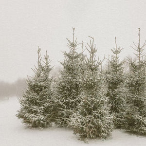 Framed Christmas Wall Art | Snow-Covered Pine Trees Winter Scene | Farmhouse Style Holiday Decor | Cozy Home Wall Decor | N216