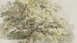 Tree Wall Art | Water Color Painting | Vintage Wall Art | Framed Wall Art | Living Room Decor | Entryway Decor | W48