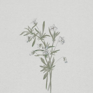 Consider the Lilies Wall Art | Framed Minimalist Floral Print for Elegant Home and Christian Decor | Living Room, Entryway Decor | N239