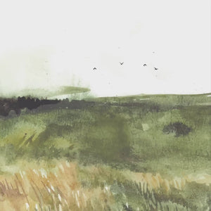 Fields in Springtime