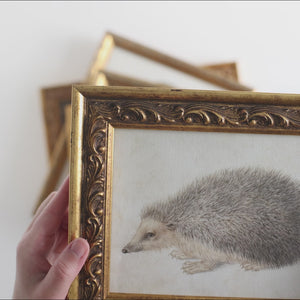 Woodland Nursery Gallery Wall Art Set | G21
