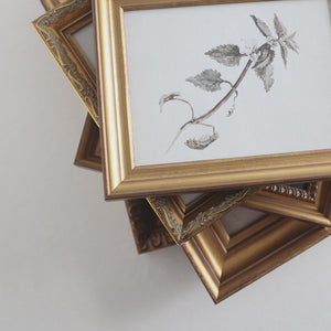 Curated Gallery Wall Set of 5 Framed Prints | River Landscape, White Roses and Rainy Street | Ready to Hang Entryway Art | G8-1