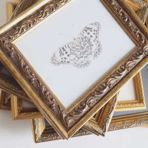 Vintage Framed Prints Set of 5 | Botanical Gallery Wall Art | Gold Frame Nature Decor | G45