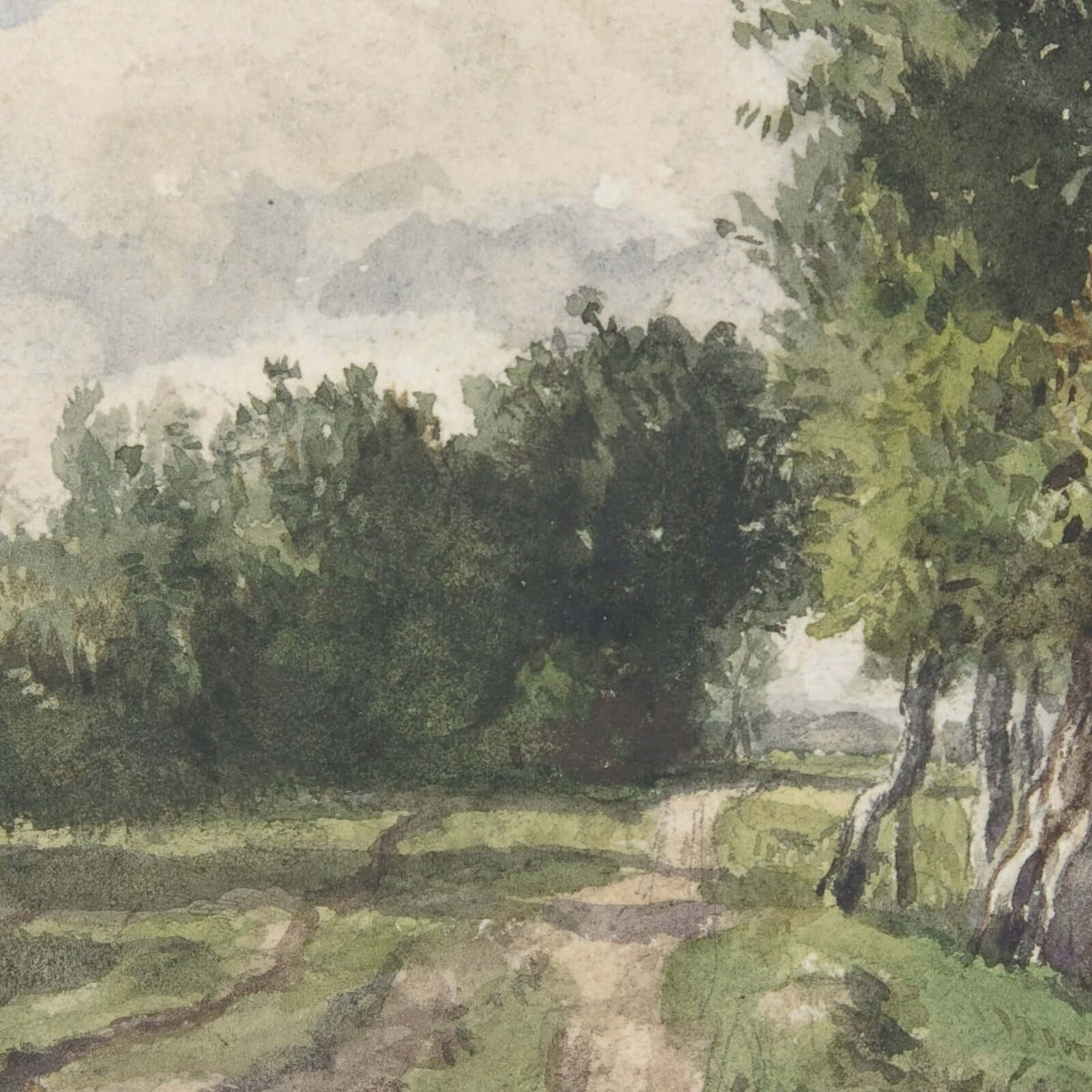 Summer Path Through Woods | Canvas Tapestry | T21