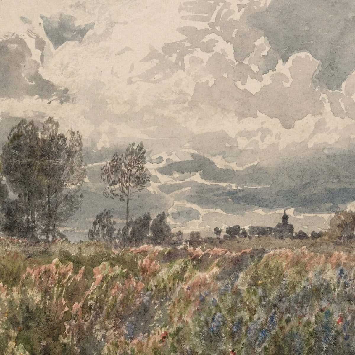 Field Of Wildflowers | T6