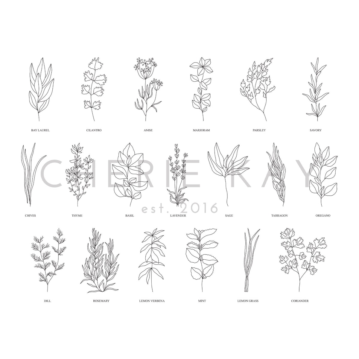 Herbs And Spices Outline