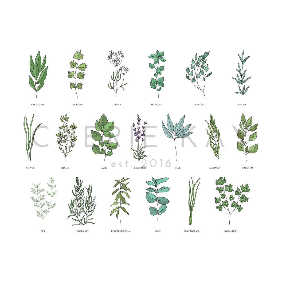 Herbs And Spices
