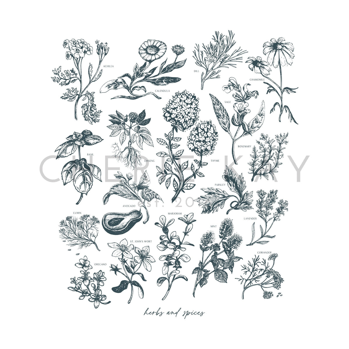 Vintage Herbs