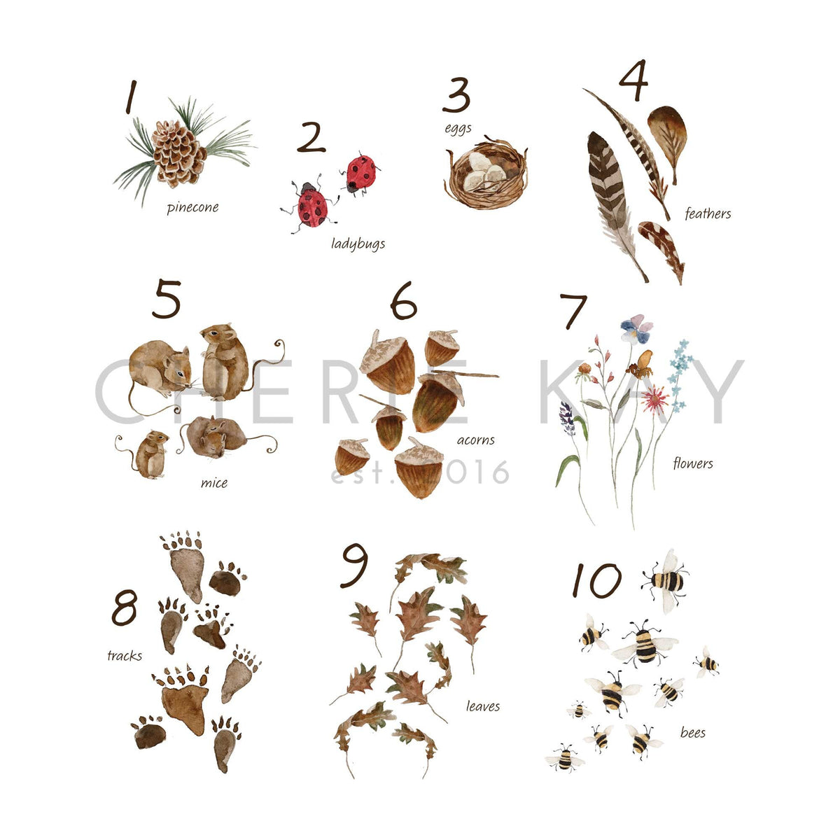 Woodland Numbers