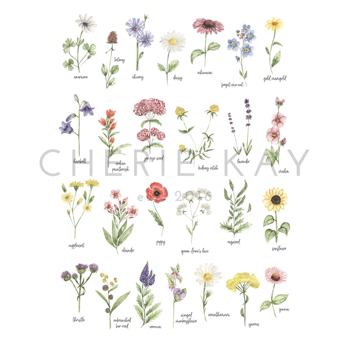 Wildflowers