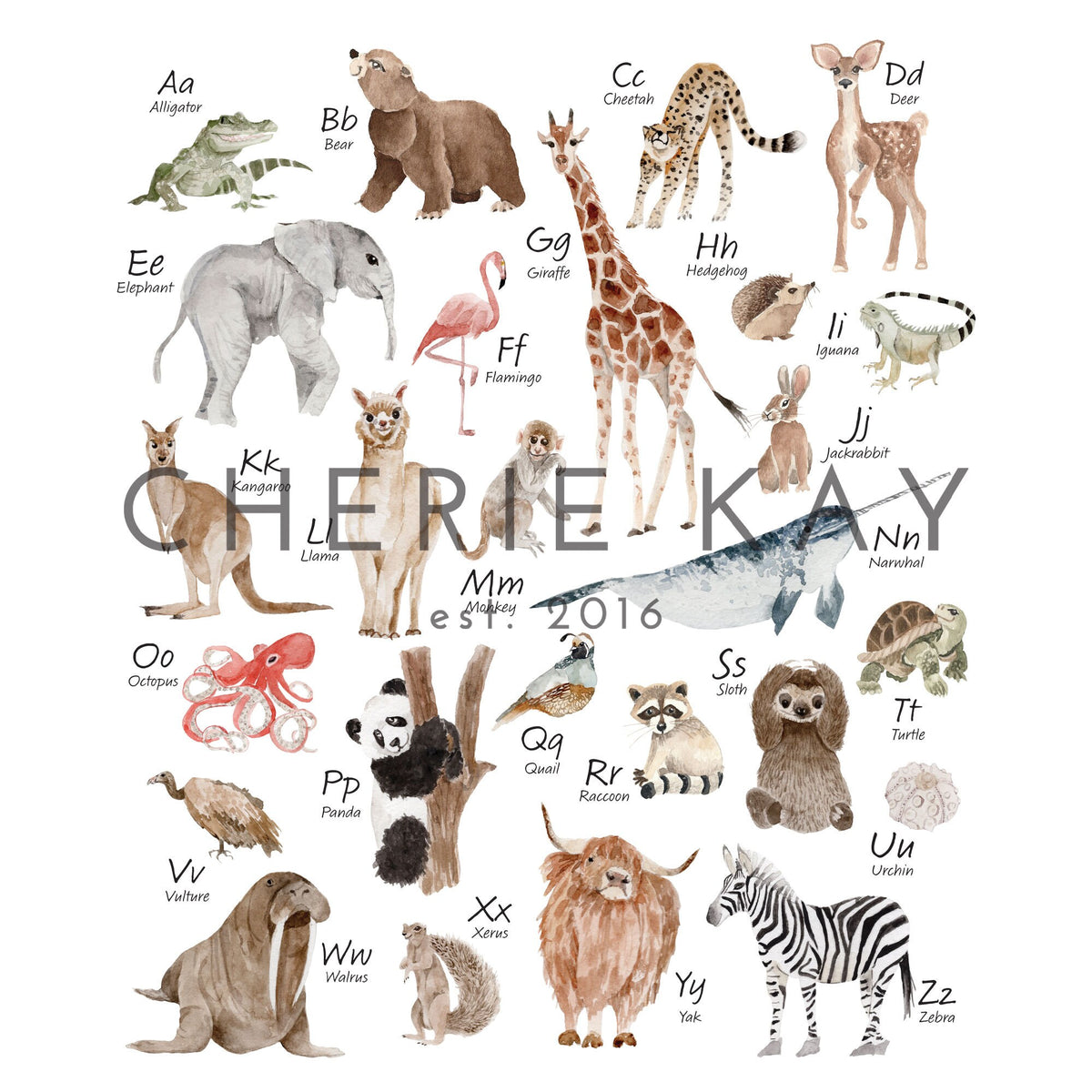Animal Alphabet