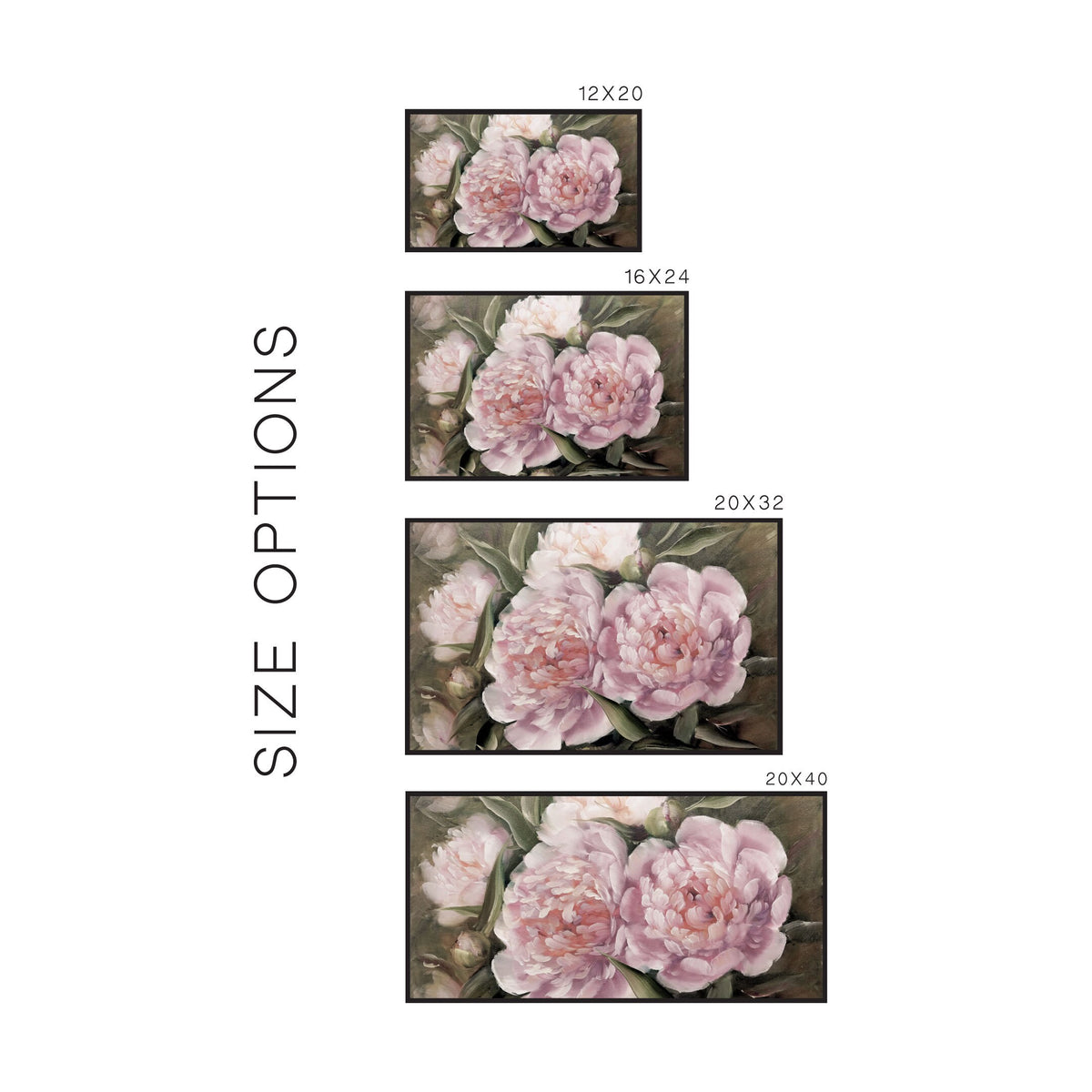 Pink Peonies