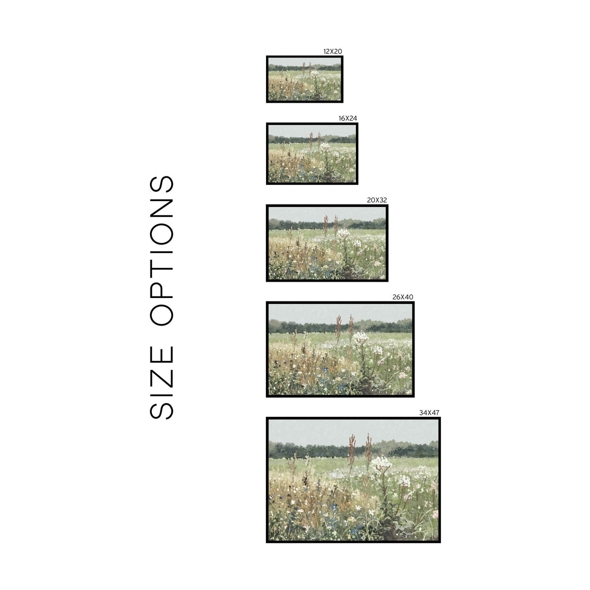 Wildflowers | W1