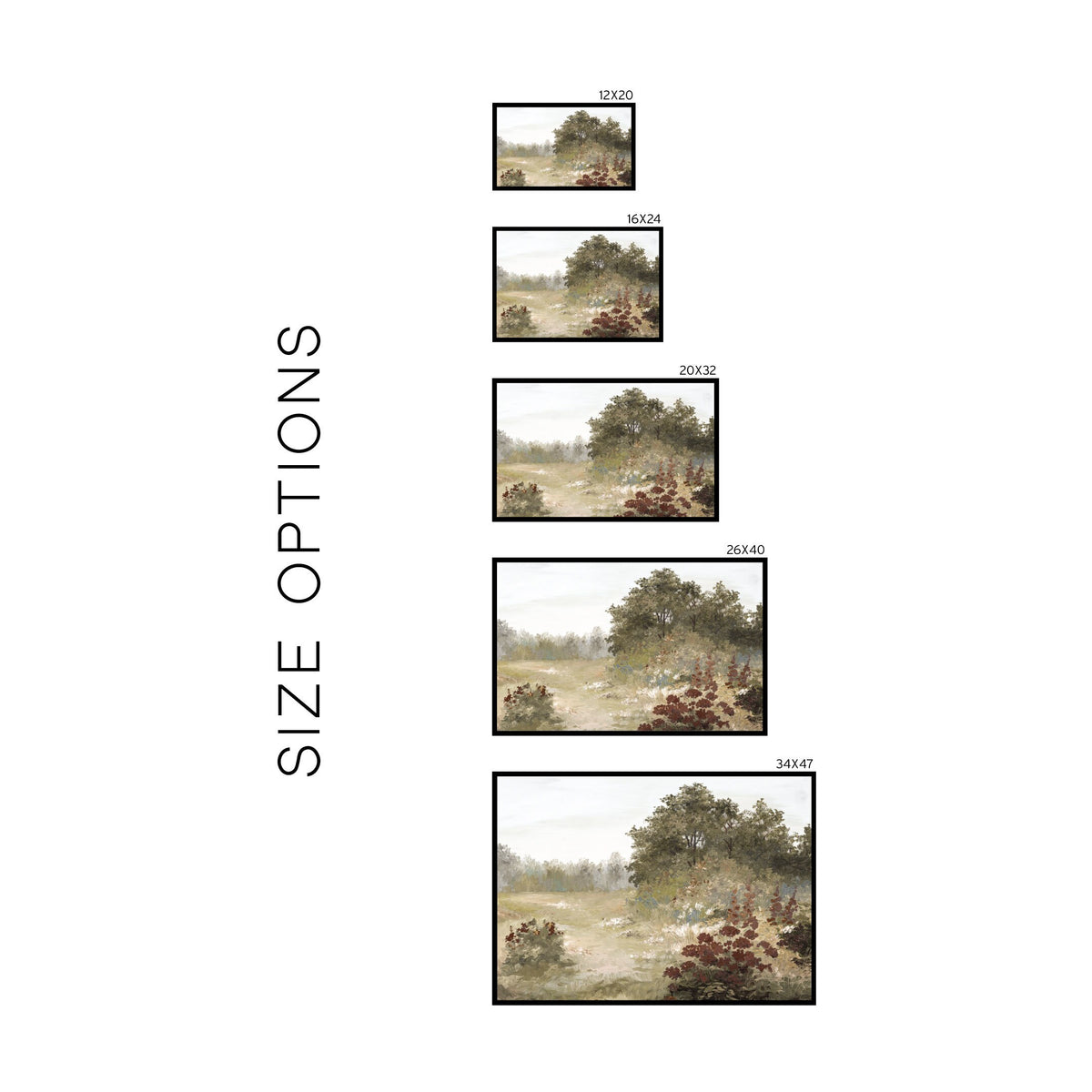 Meadow Landscape | W4