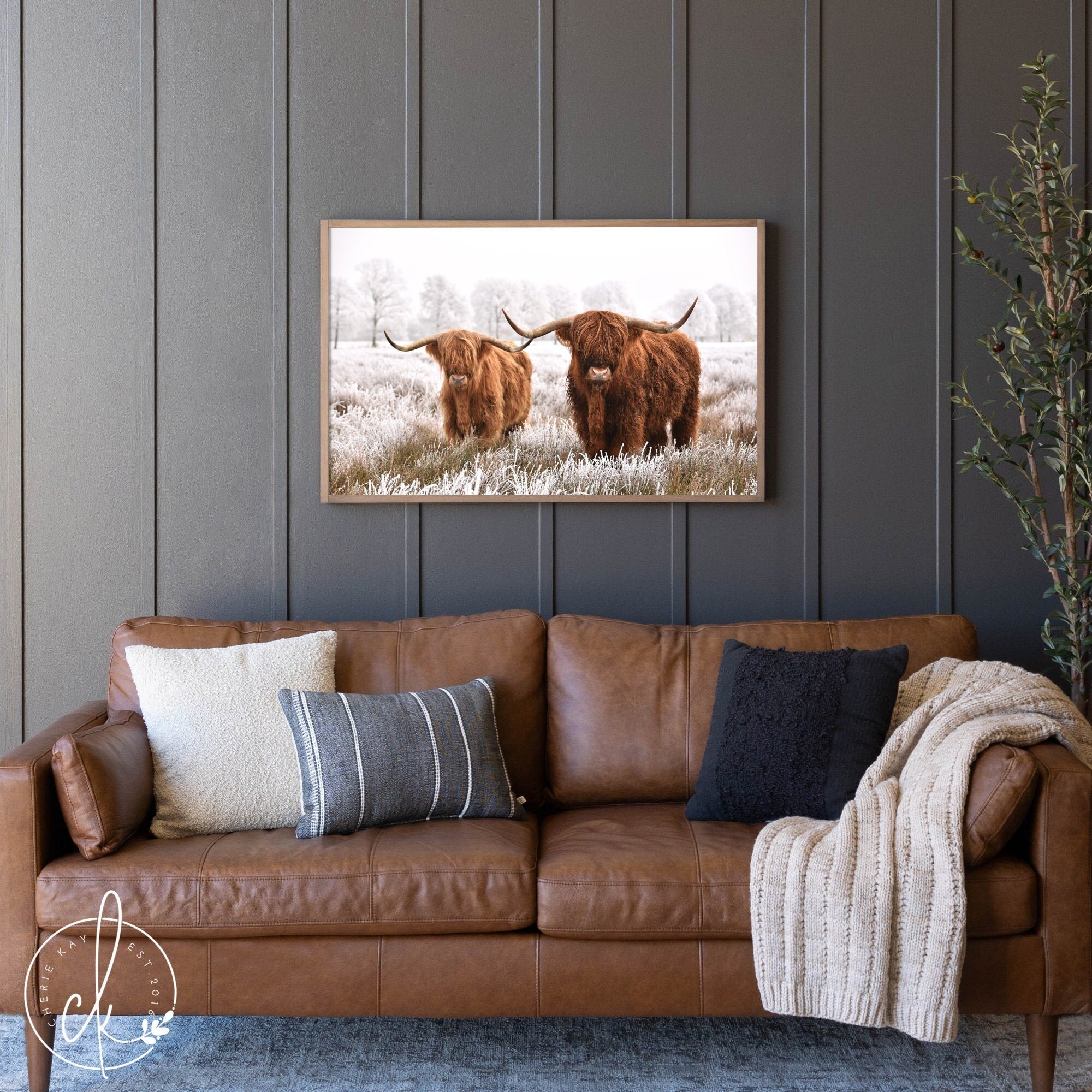 Scottish Highlanders In Snow | Framed Wall Art | Living Room Wall Decor | Bedroom Wall Art | Cattle Wall Decor | Cow Wall Art
