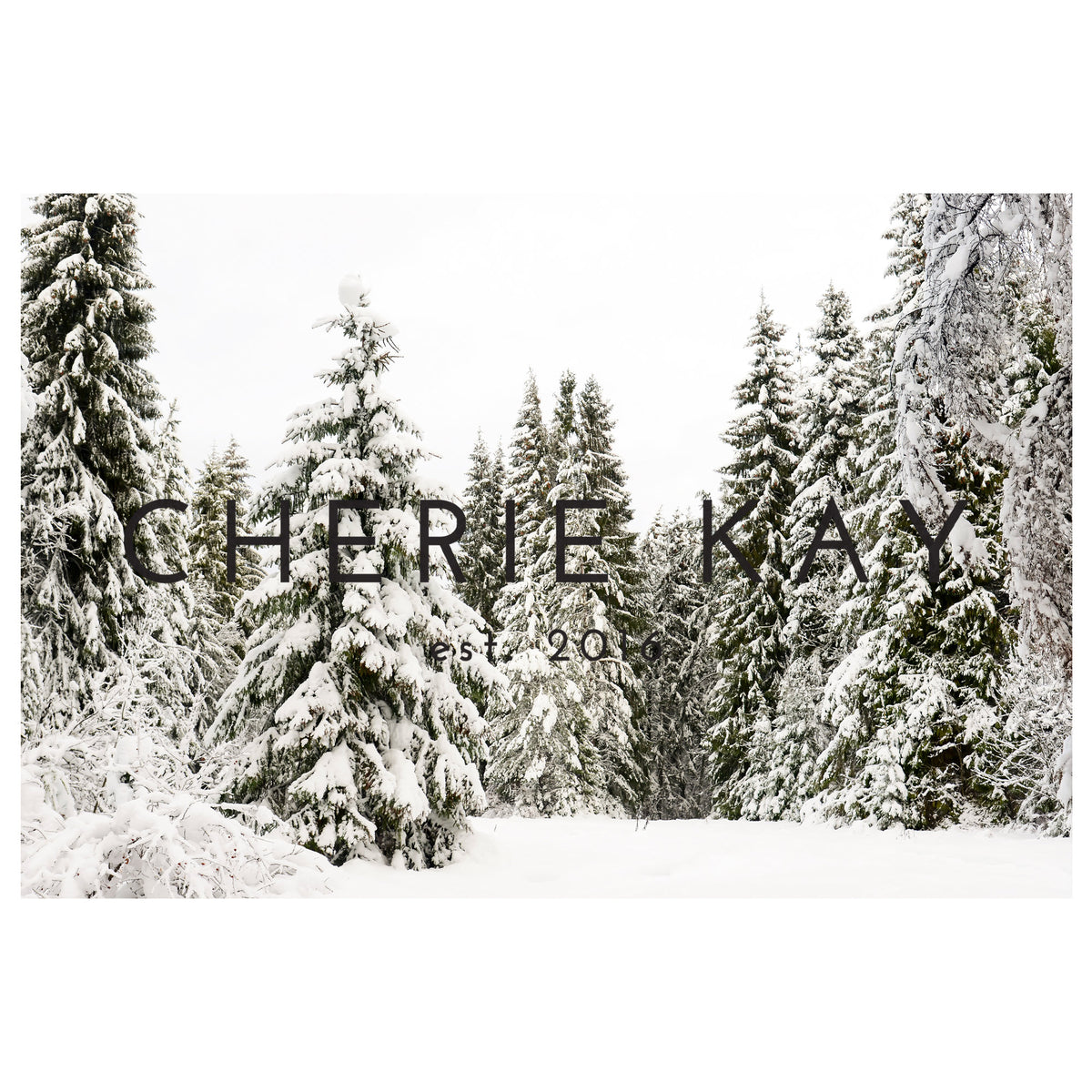 Winter Pines Tapestry Art | Landscape Wall Art | Winter Landscape | Entryway Wall Decor | Snowy Pines Wall Hanging | T42